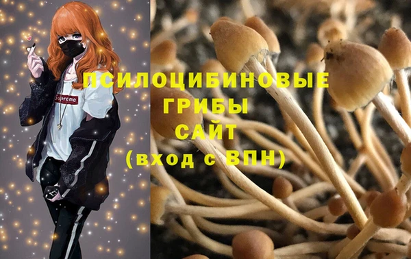 apvp Верея