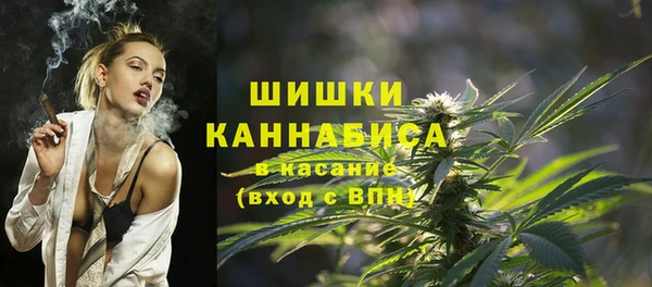apvp Верея