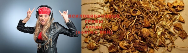 а пвп мука Верхний Тагил