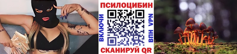 Псилоцибиновые грибы Cubensis  магазин    Славянск-на-Кубани 