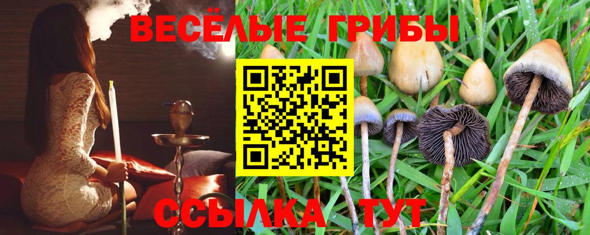 Псилоцибиновые грибы Psilocybe  Галлюциногенные грибы GOLDEN TEACHER  Вход с VPN  Славянск-на-Кубани 